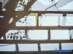 Shurentang Boutique Guesthouse - Image 4