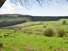 Valley Cottage Penmachno - Image 2