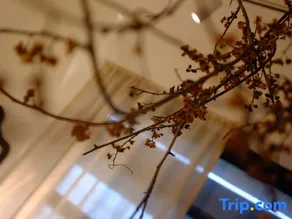 Times Jun'an Hotel - Image 3