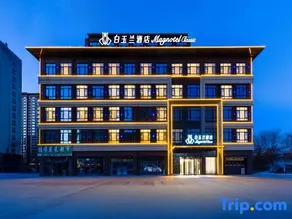 Magnotel Classic ( Liaocheng Guanxian Railway Station Store) - Image 5