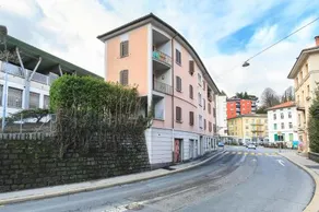 Yellow Maraini - Image 5