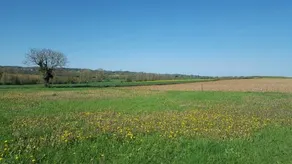l Oiseau Bleu - Image 3