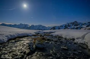 Tonale 3 - Image 5
