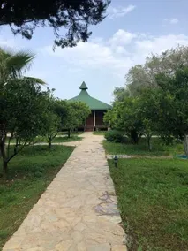 Çirali Almira Bungalow - Image 2
