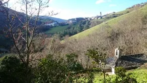 Apartamentos Rurales Vega de Llan - Image 3