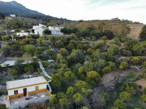 Finca Martina - Image 4