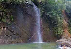 Jungle River - Image 2