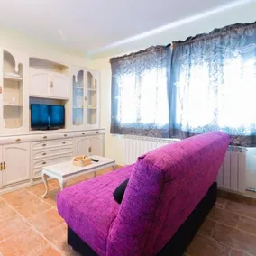 Apartahotel Laguna De Gallocanta - Image 3