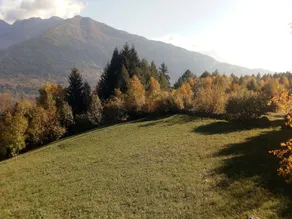 Salvino - Image 4