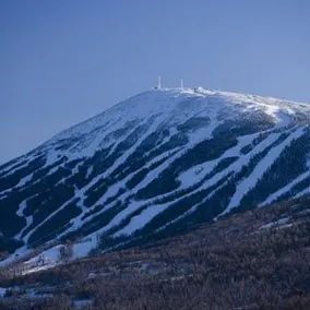 Sugarloaf  Inn - Image 4