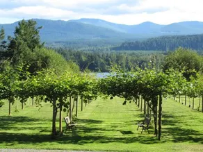 Kiwi Cove Cottage - Image 2