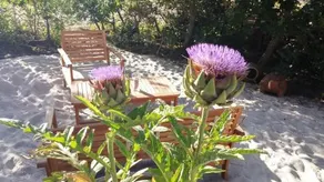 Le Relais De La Praya - Image 3