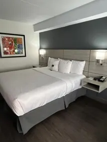 COMFORT INN LEAMINGTON - Image 3