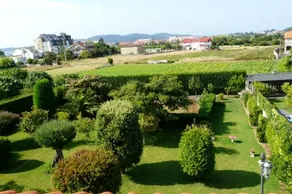 Pension Casa Carmela - Image 2