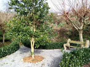 Casa Do Terrenho - Image 2