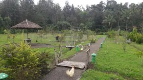 Tiger Roar Resort - Image 4