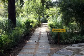 The Bagh - A Forest Retreat Kanha - Image 5