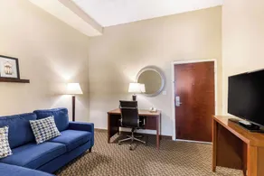 Comfort Suites Columbia Gateway - Image 3