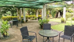 Little Amazon Home - Image 4