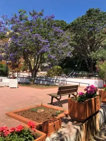 B&B Great Sicily - Image 2