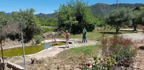 Finca Abogat - Image 4