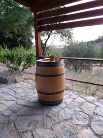 Podere San Michele - Image 5