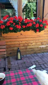 Gasthaus Maria - Image 2