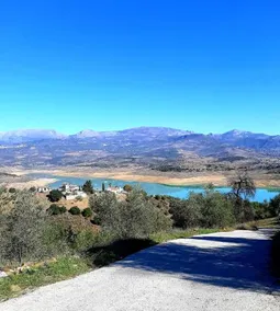 La Dehesa Traditional Casa - Image 5