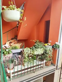 Antico Affittacamere di Tollegno - Image 3