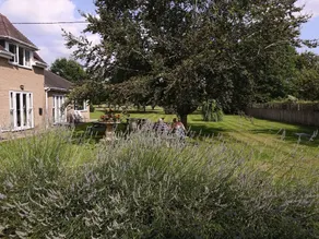 Mather House Bed and Breakfast - Image 4