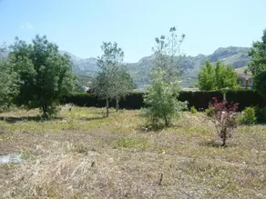 Venta Las Delicias - Image 5
