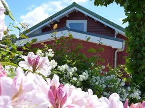 Ferienhaus Seestra_e 22 - Image 2