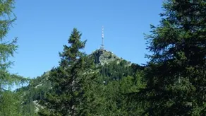 Da Norma - Image 2
