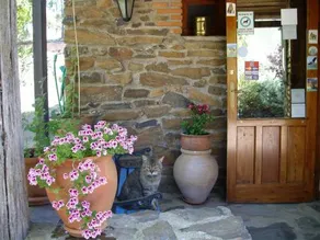 La Casita Del Anta - Image 4