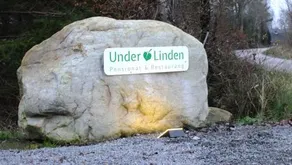 Under Linden - Image 2