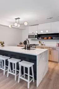 Logan Square Luxury Villa 3 Beds 3 Baths - Image 2