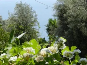 Georgia Villas - Image 3