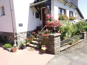 Comfortable Apartment in Langewiese with Private Garden - Image 3