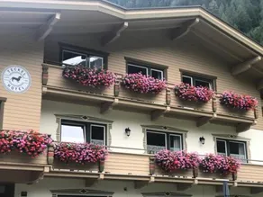 Chalet Amadeus - Image 4