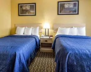 Quality Inn & Suites Corpus Christi - Image 4
