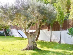 Villa Rocamar-Sa Pedruscada - Image 2