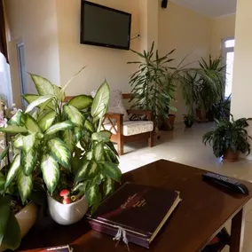 Casa Rad - Image 4