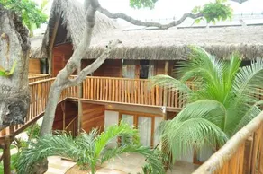 Hurricane Jeri Gardens - Image 4