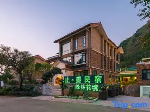 Zhimo Homestay (Wanfenglin Peak Forest Flower View Branch) - Image 4