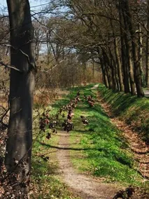 Landgoed De Lavei - Image 3