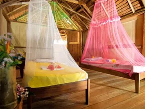Little Paradise Bungalow - Image 4