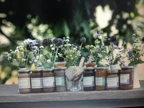 Alchemist Guesthouse - Image 2