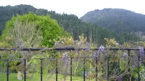 Mote Cottage - Image 2