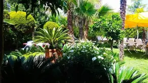 Hotel Niko Paradise - Image 3