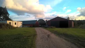 Olseröds Hundcenter - Image 2